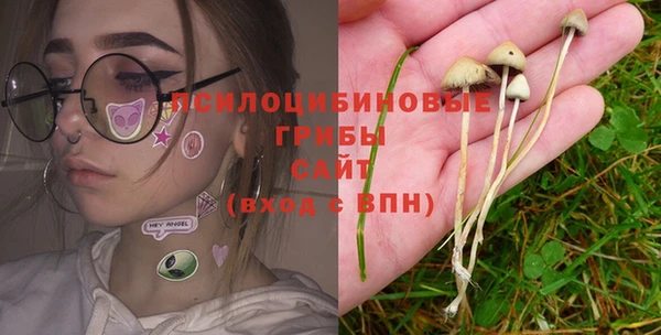 соль курить ск Белокуриха