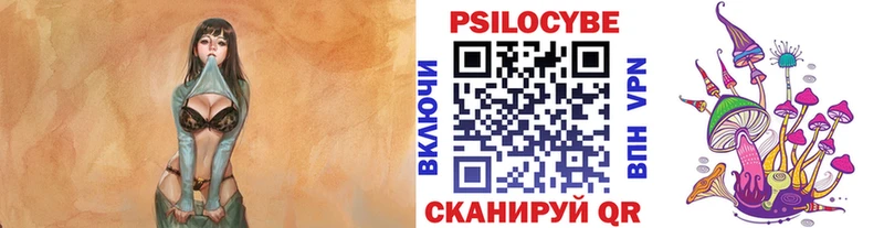 Псилоцибиновые грибы Psilocybine cubensis  Малая Вишера 